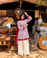 Rimjhim Farshi Salwar Set with dupatta