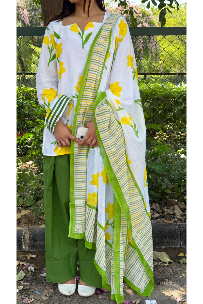 Spring Meadow Farshi Salwar Set